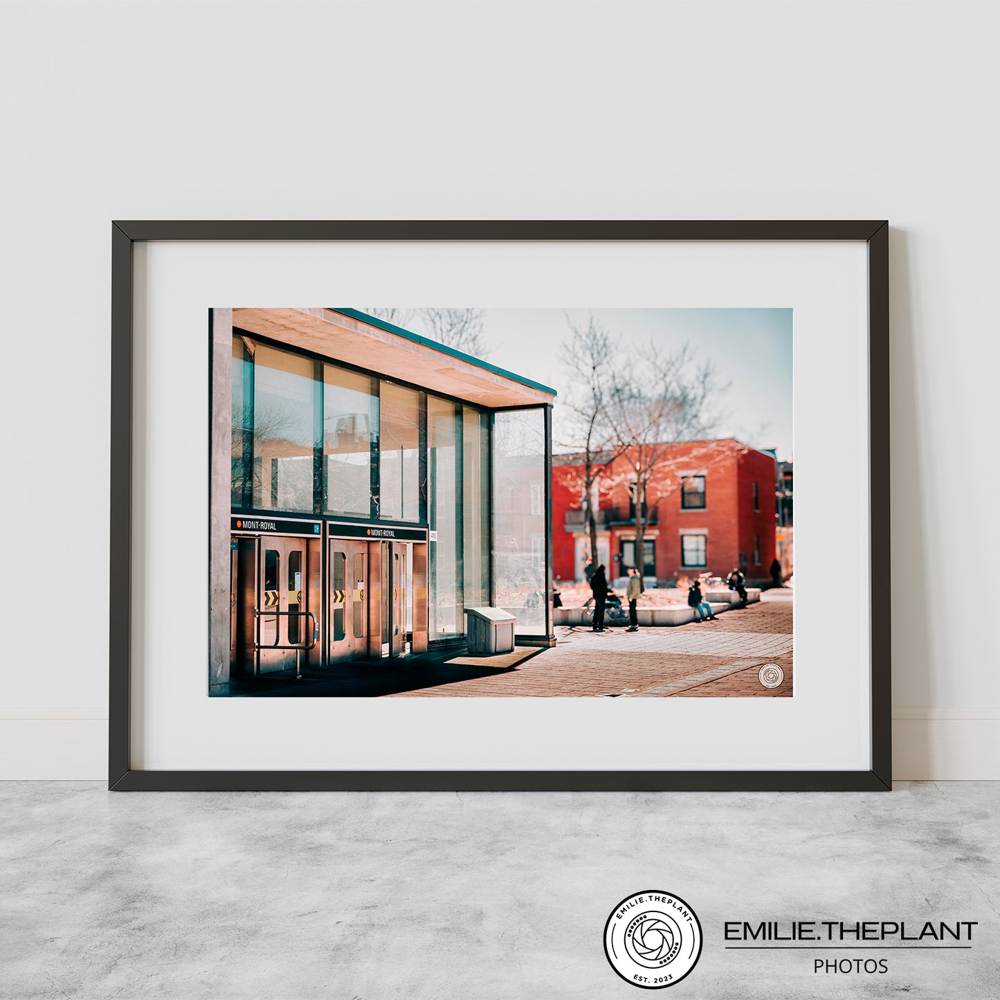 Mont-Royal (Collection STM)