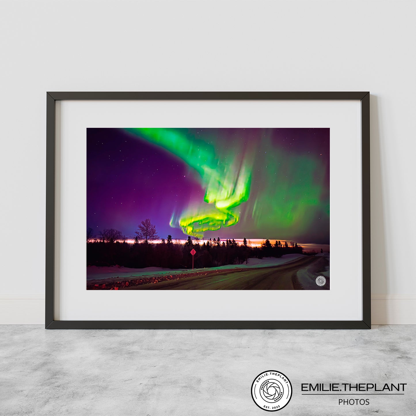 That Magnificent New Year's Eve